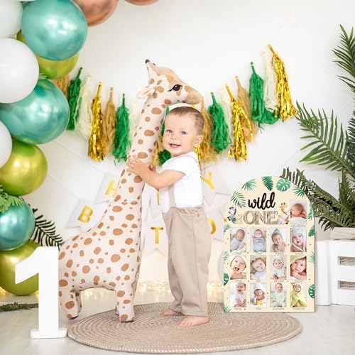 R HORSE first year photo frame mounted on a nursery wall with monthly pictures