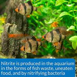 API aquarium water quality testing kit arranged for display