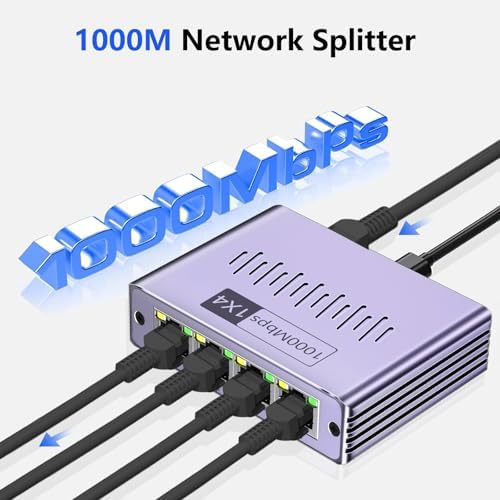 Denlane Ethernet splitter showing 4 output ports