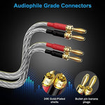 Gold plated banana tip plugs on Mygatti speaker cable