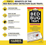 Harris bed bug traps adhesive surface close up