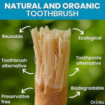 Natural teeth whitening miswak sticks with fibrous bristles exposed.