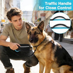 Arcolma nylon dog leash showcasing the dual neoprene padded handles for close traffic control.
