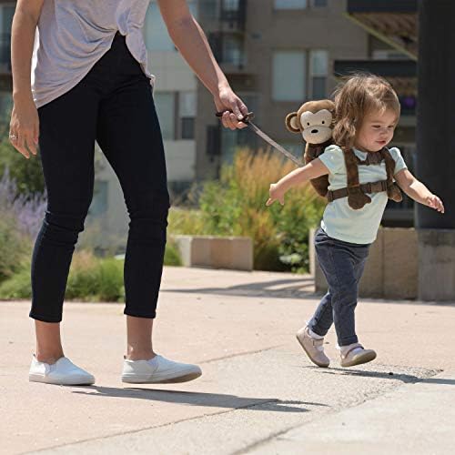 Goldbug toddler safety harness showing adjustable chest buckles