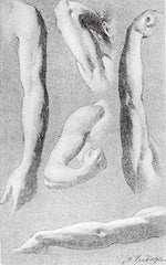 The Human Figure - Image 5
