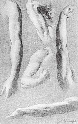 The Human Figure - Image 5