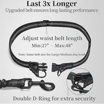 Iyoshop hands free leash dual padded handles