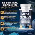 Authentic BARIPLUS mega mineral complex package seal showing premium imported trace mineral blend