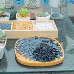 Anothera black gravel used as drainage layer in plant pot