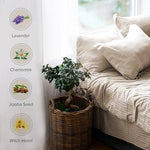 Eucalyptus and lavender essential oil mist for home relaxation and sleep support