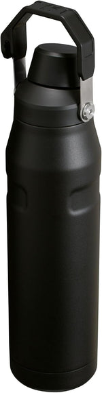 Stanley lightweight gym water bottle with easy carry handle