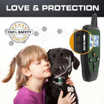Dog wearing Invirox 2026 edition training collar outdoors