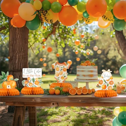 Distinctivs imported USA little cutie is on the way table decorations close up details
