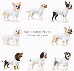 Back view of Lovelonglong pet tee for long body dogs