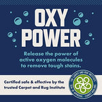 Rocco & Roxie Supply Co carpet shampoo for household pet mess removal