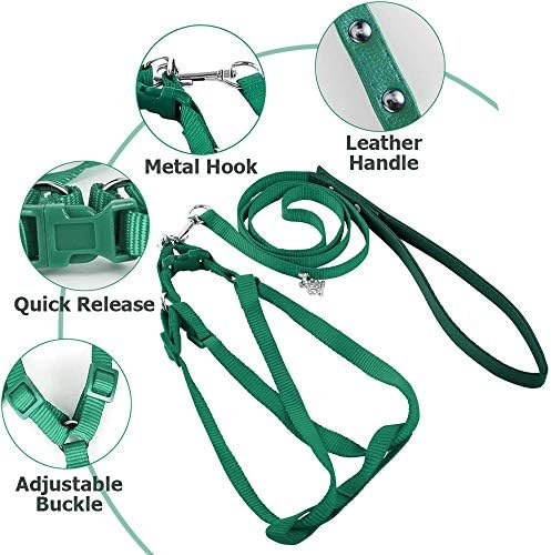 Asocea bird harness showing the adjustable chest strap mechanism