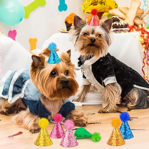 Hooqict miniature cone hats styled on plush toy