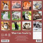 What Cats Teach Us 2026 Wall Calendar - Image 3