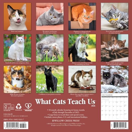 What Cats Teach Us 2026 Wall Calendar - Image 3