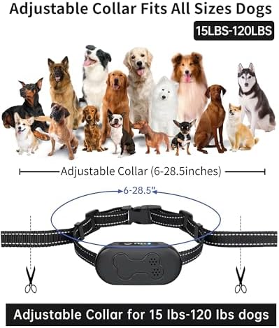 IPX7 waterproof receiver collar undergoing water splash testing to demonstrate durable weatherproofing.