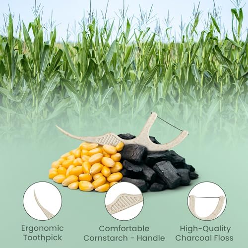 Organic plant based dental flosser pack with zero plastic Kraft paper box close up
