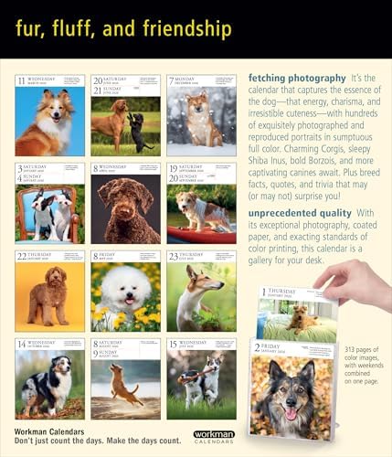 Dog Page-A-DayÂ® Gallery Calendar 2026: An Elegant Canine Celebration - Image 3