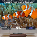 Full-function remote control layout paired with the Proscan Elite high definition television player