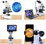Dpofirs adult laboratory microscope with three hundred sixty degree rotating binocular head