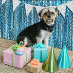 Two pack blue streamers party decorations used as an entrance doorway cover
