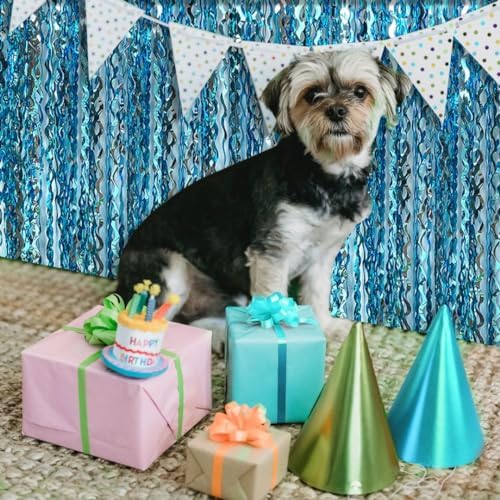 Two pack blue streamers party decorations used as an entrance doorway cover