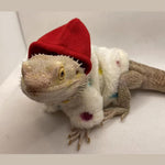 KUNBIUH lizard clothes close up texture of soft flannel skin protection fabric