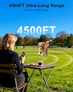 Smart remote control display for dog training