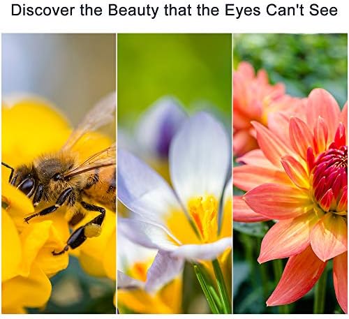 Professional photography close up filter kit for DSLR