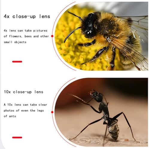 Macro photography close-up lens filters with storage pouch