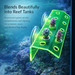 Kcrygogo clear acrylic coral fragment rack packaging components unfolded