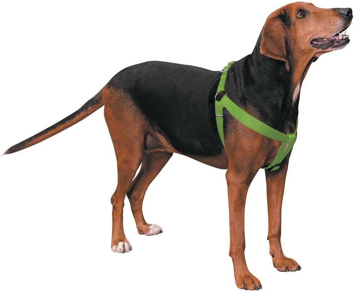 Guardian Gear 2 step dog harness front view