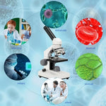 Biological microscope stage with specimen slide