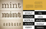 House Industries Lettering Manual - Image 5