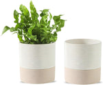 Nihow Ceramic Self Watering Plant Pot for Indoor Plants,6 Inch,Black White | Planter with Cotton Wick, Drainage Hole & Water Storage Plus, Cylinder Round Flower Pot, For Succulent/Herbs/Violets - Image 14