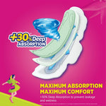 Sofy feminine hygiene pads highlighting herbal shield features