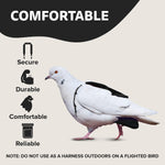 Removable vinyl liner pouch insert inside hen holster pet diaper