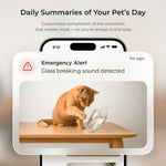 Petcube smartphone application interface showing live ten eighty pixel video feed