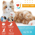 Joy For All orange tabby cat packaging and companion guide display