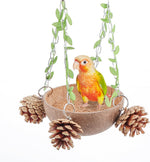 Natural coconut shell hideout for sugar gliders