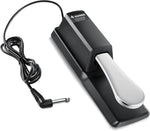 Donner DK-1 Sustain Pedal for Keyboard Digital Piano Foot Pedal - Image 1