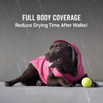 French Bulldog wearing Canada Pooch rain jacket outdoors