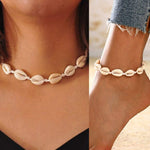 Close up of polished natural ivory cowrie shells