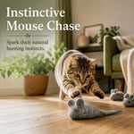 Earthtone Solutions non toxic handmade grey mouse cat toys pack side view
