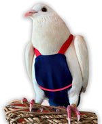 Bev's Bird Boutique Regular Flyper Adjustable Bird Diaper | Reusable, Washable Cloth | Comfort Fit for Parrot, Cockatiels, & Other Small Birds | Fashionable Avian Accessories, Dungaree Jeans, Size 7 - Image 10