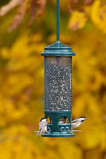 Brome bird feeder clear polycarbonate seed container
